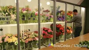 Холодильные камеры и шкафы для цветов под заказ